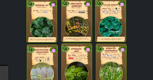 kudzu invasive plant species