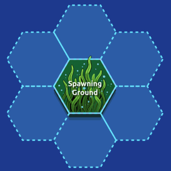 Reefscape Boardgame Tile Placement