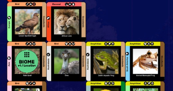 Cards with different birds, mammals and amphibians are laid out into a grid. One card has a token on it that reads 