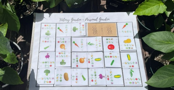 Victory Garden strategy puzzle board game best for 2 players learn to grow vegetables