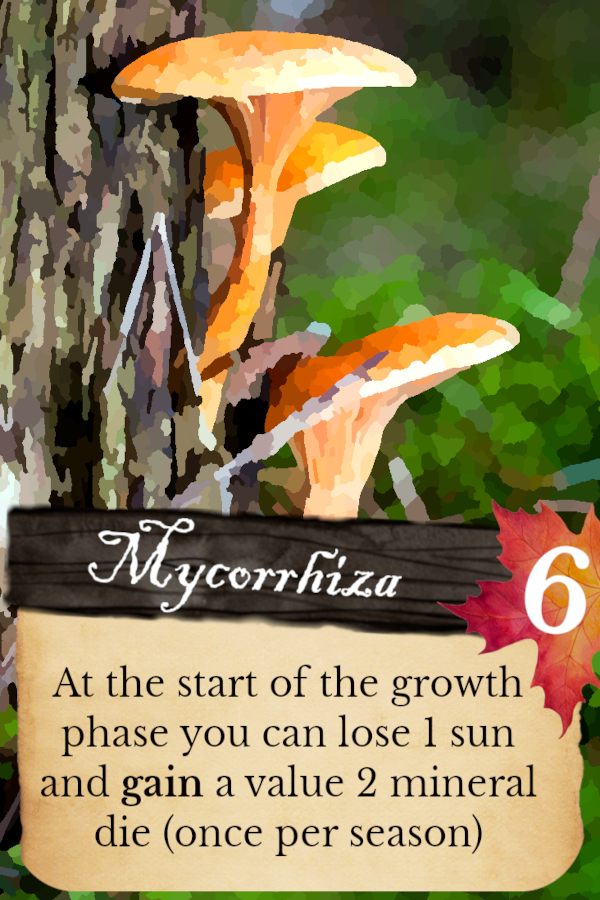 Example of an evolution card. Did you know that some trees have evolved a symbiotic relationship with fungi? The fungi gives minerals to the tree and the tree returns the favor by giving the fungi some carbohydrates. Fungi friends :-)