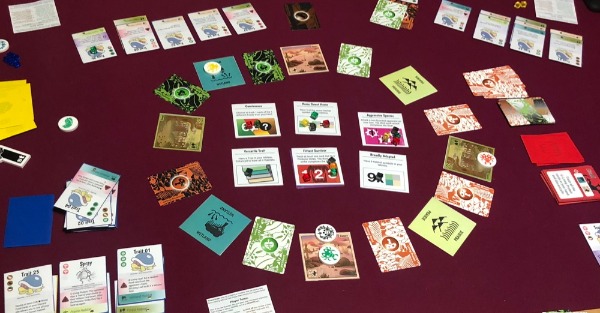Cards on a table; a circle of alternating food and habitat cards; player tableaus of insect traits.