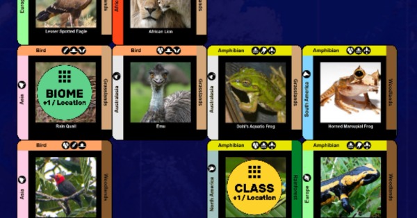 Square cards with animals pictured on them