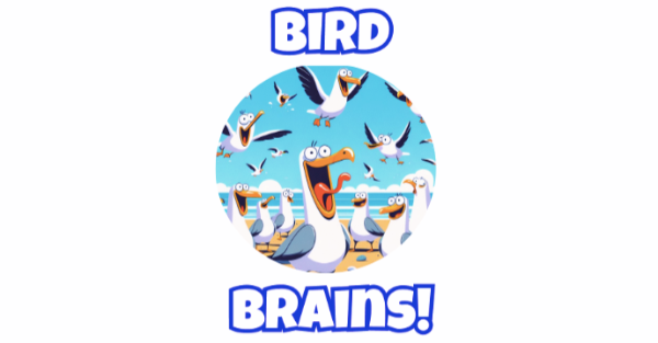 Bird Brains a game about brainy birds competing to collect valuable trash and territory