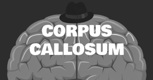 Greyscale Detective Brain with Fedora on top Noir Style